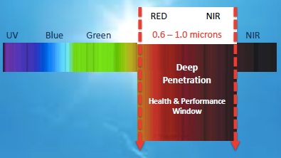 Red & NIR Light: The Health & Performance Window